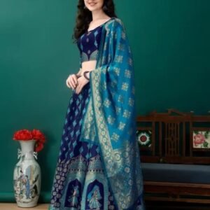 Silk kanchivaram Lehenga